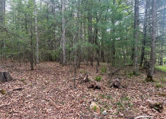 Property at Lot 19 Sunset Rdg #19, Lewisburg, WV 24901
