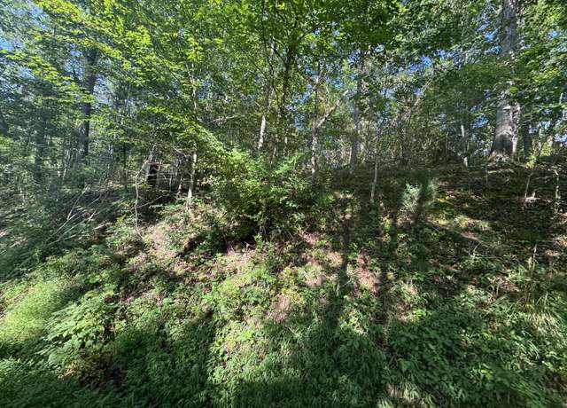 Property at 12737 Mclane Pike, Liberty, WV 25124