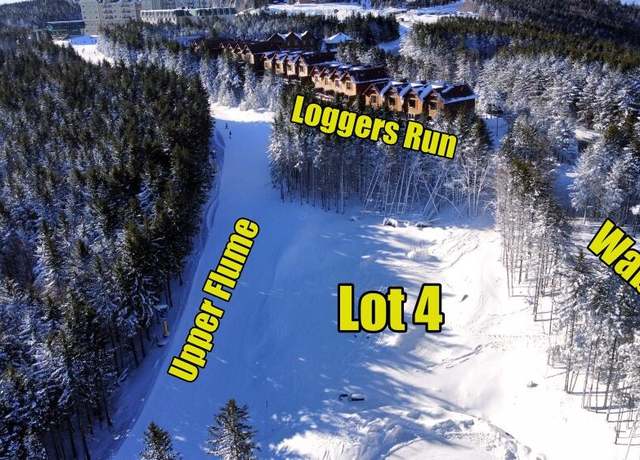 Property at 246 Forever Wild Way #4, Snowshoe, WV 26209