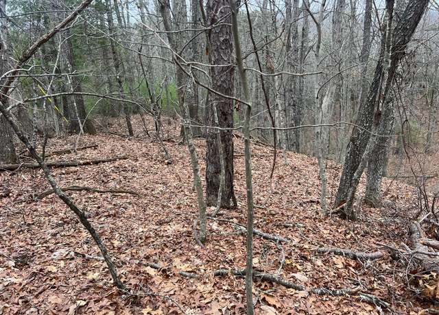 Property at Rattlesnake Run Rd, Gap Mills, WV 24941