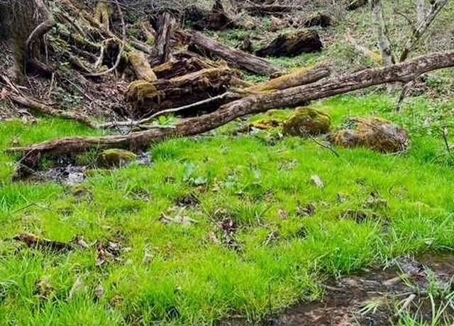 Property at Leonard Cordova/vandorpool, Renick, WV 24966