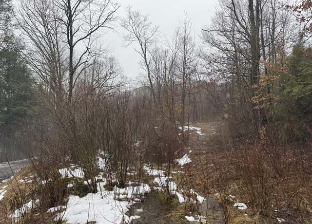 Property at 727 Curtain Rd, Craigsville, WV 26205