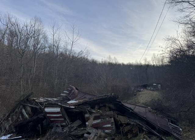 Property at 911 Shingles Branch Rd, East Lynn, WV 25512