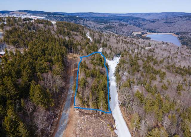 Property at 18 Forever Wild #18, Snowshoe, WV 26209