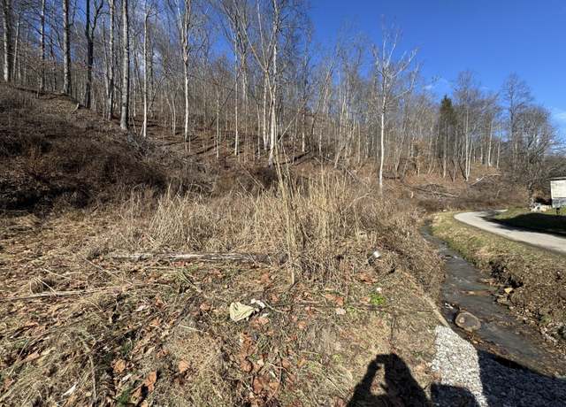 Property at 1055 Hurricane Branch Rd, Chapmanville, WV 25508