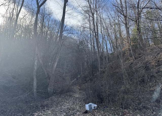 Property at 306 Rockcastle Rd, Colcord, WV 25048