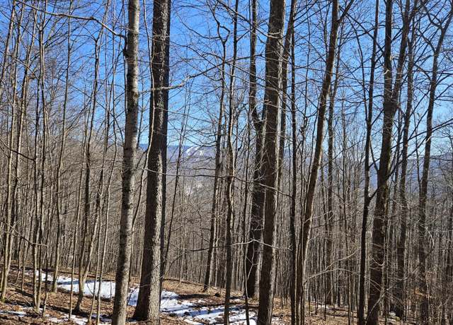 Property at Lot 8 Upper Cherry Grove Rd #8, Slatyfork, WV 26291