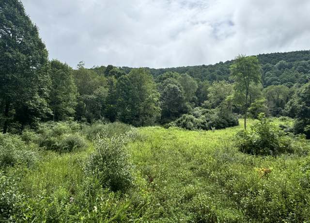 Property at Alta Heights Rd, Asbury, WV 24913