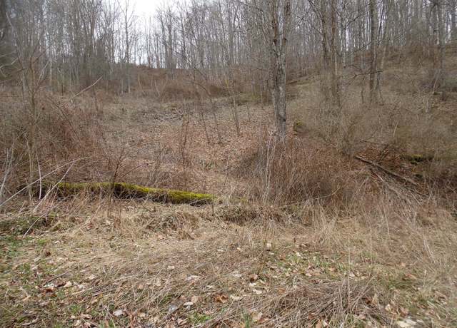 Property at 300 Little Mountain Dr Lot C-2, Hillsboro, WV 24946