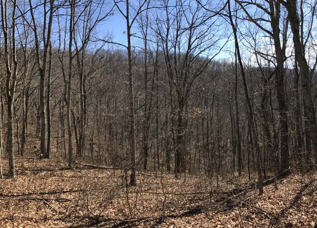 Property at Lot 39 Wildwood Rdg #39, Caldwell, WV 24925