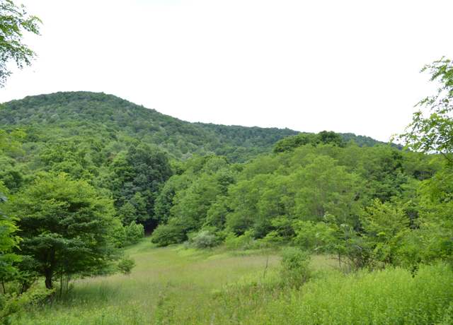 Property at 6299 Edray Rd, Cass, WV 24927