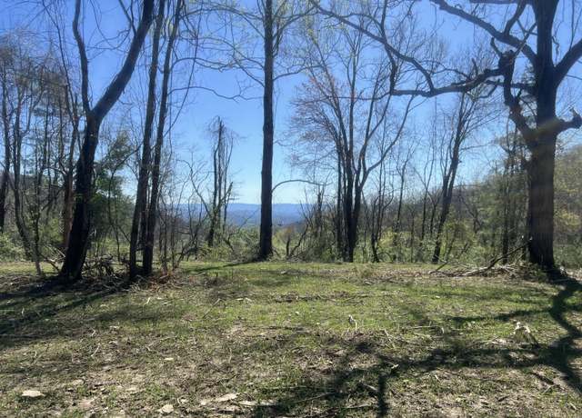 Property at Tract 2 River Hills Farm Dr, Forest Hill, WV 25951