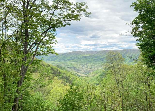 Property at Lot 125 Withrow Lndg Unit The Retreat, Caldwell, WV 24925