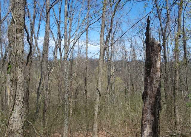 Property at 7.28 Acres G.w. Ln, Ronceverte, WV 24970