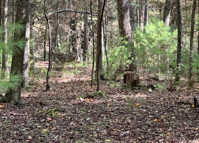 Property at Asbury Trce Lot 24, Lewisburg, WV 24910