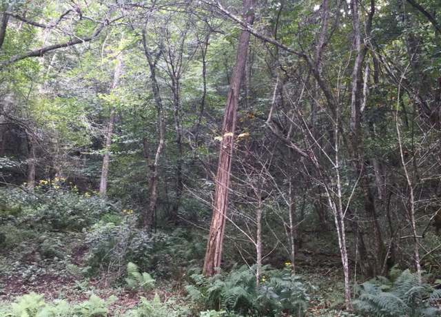 Property at 1001 Little Mountain Dr Unit D7, Hillsboro, WV 24946