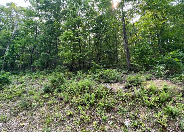 Property at Lot 29 Katy Dr Unit Overlook At Greenbrier, White Sulphur Springs, WV 24986