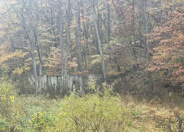 Property at 100 Drakes Run Rd, Mannington, WV 26582