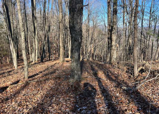 Property at Lot 20 Bear Trak, Gap Mills, WV 24941
