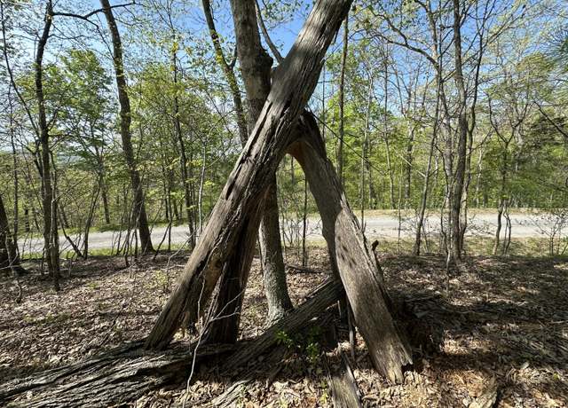 Property at Highlander Trl, Caldwell, WV 24901