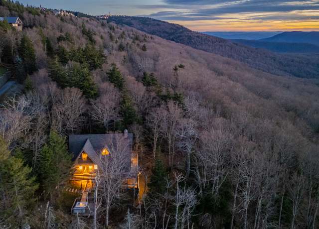 Property at 1029 S West Ridge Rd Unit (Lot 44), Snowshoe, WV 26209, 4 beds, 3 baths