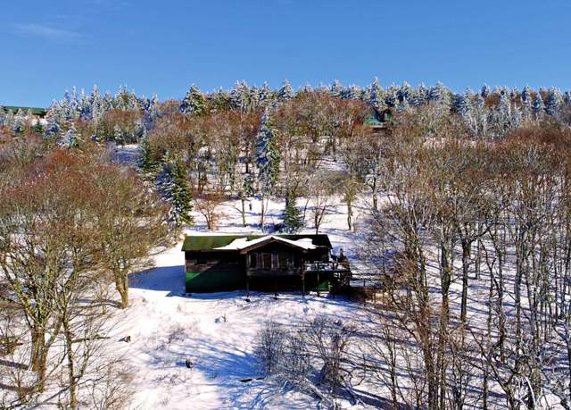 Property at 523 S Westridge Rd, Snowshoe, WV 26209, 4 beds, 3 baths