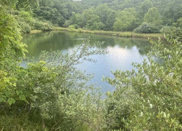 Property at 315 Curry Rd, Ronceverte, WV 24970