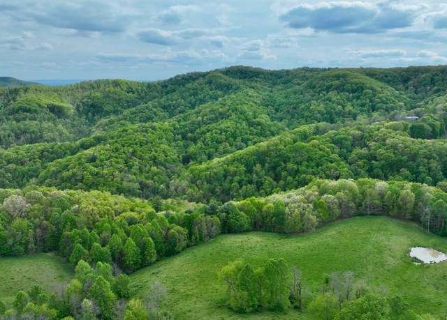 Property at Tbd Chestnut Flts Unit Road, Lewisburg, WV 24901