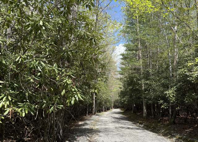 Property at 28 #28, Buckeye, WV 24924
