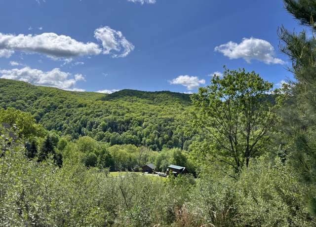 Property at Property in Buckeye, WV 24924