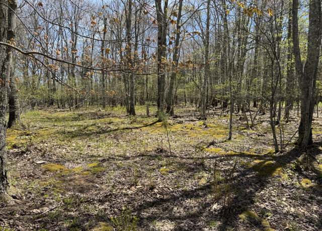 Property at 10 Hunters Ridge Rd #10, Snowshoe, WV 26209
