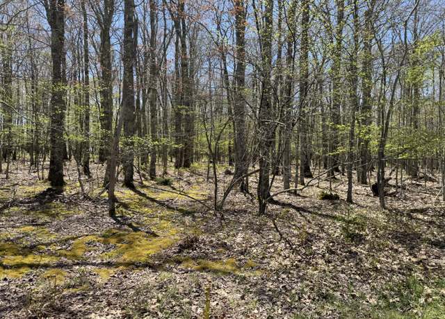 Property at 27 Hunters Rdg #27, Snowshoe, WV 26209