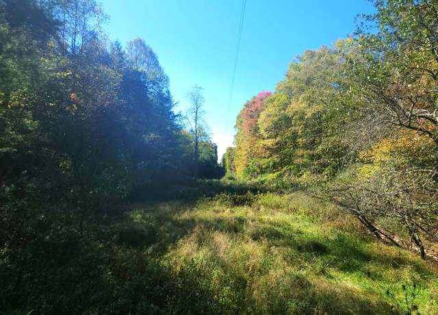 Property at 6290 Hollywood Glace Rd, Union, WV 24983