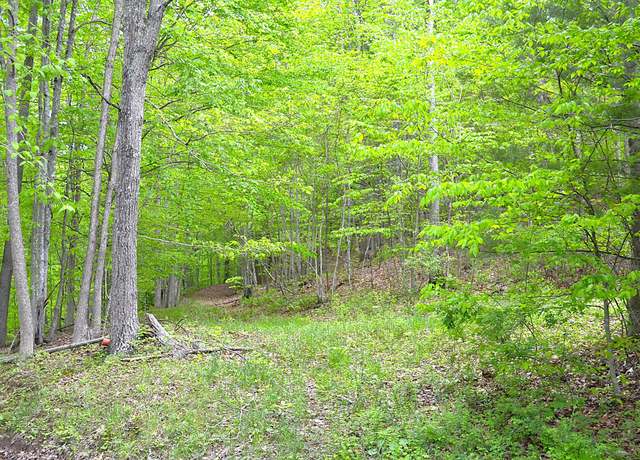 Property at Germany Rd, Renick, WV 24966