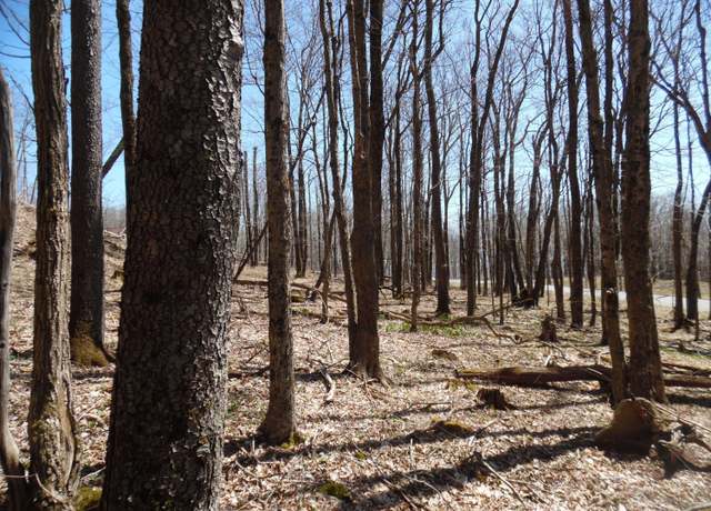 Property at 6183 Cass Rd, Slatyfork, WV 26291