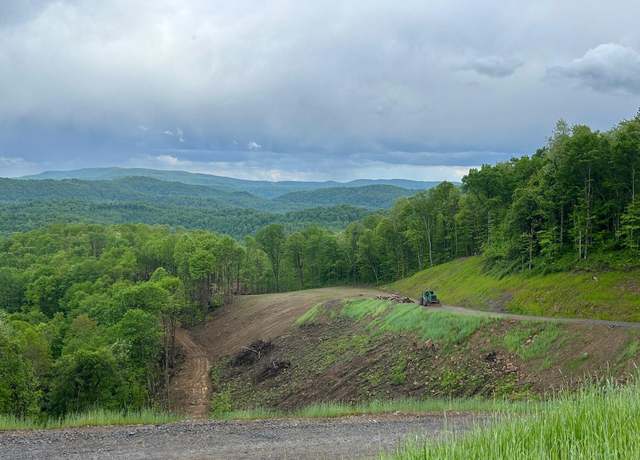 Property at Irish Mt. Rd, Spring Dale, WV 25986