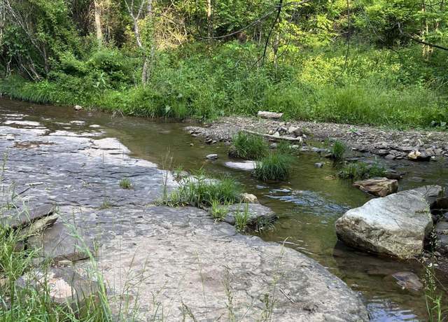 Property at Ellison Ridge Rd, Jumping Branch, WV 25969