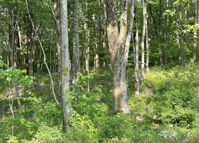 Property at 478 Pence Ln, Nallen, WV 26680