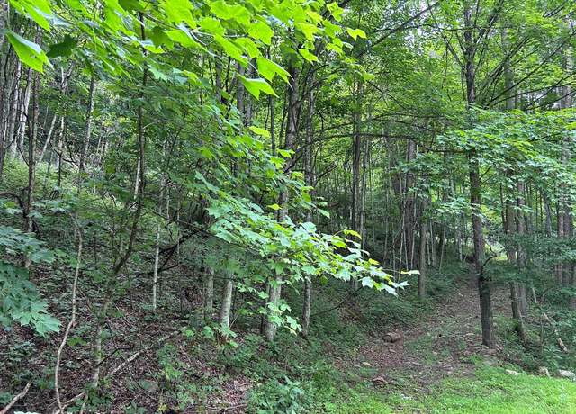 Property at 2360 Robins Fork Rd, Renick, WV 24966