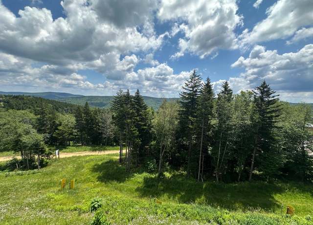 Property at 311 Red Spruce Dr #9, Snowshoe, WV 26209