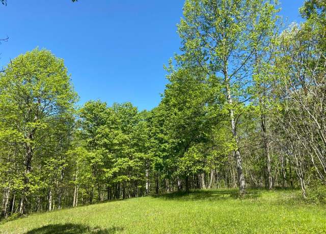 Property at Backus Mountain Rd, Meadow Bridge, WV 25976