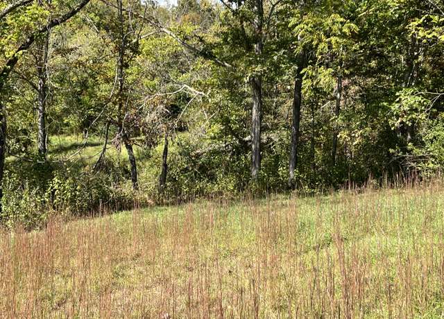 Property at Grand View Dr Unit 22, 23 & 32, Forest Hill, WV 24935