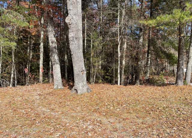 Property at 2075 Wright Mountain Rd, Rock, WV 24747