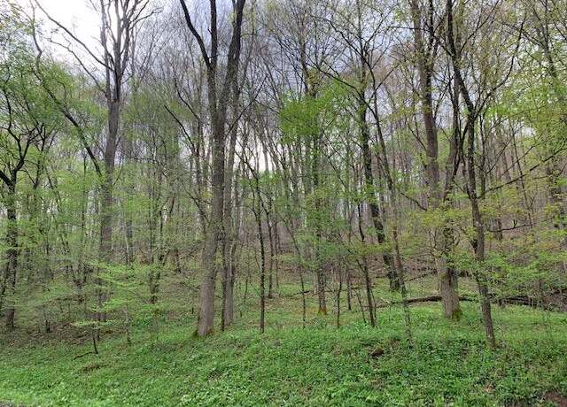 Property at 9 Slatyridge #9, Slatyfork, WV 26291