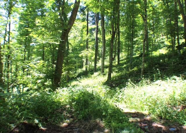 Property at John Wymer Rd, Hillsboro, WV 24946