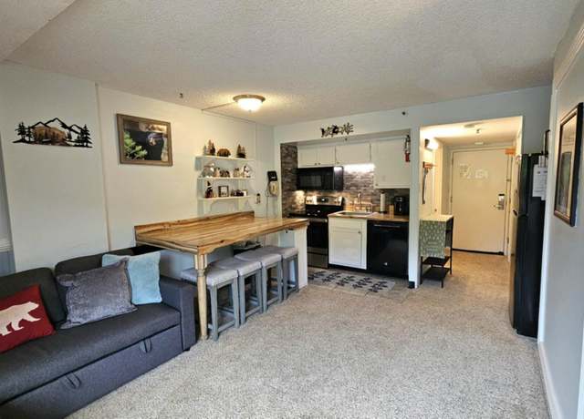 Property at 1130 Silver Creek Pkwy, Snowshoe, WV 26209, 1 bath
