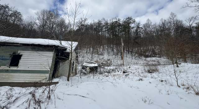 Photo of 65 Woodall Br, Hamlin, WV 25523
