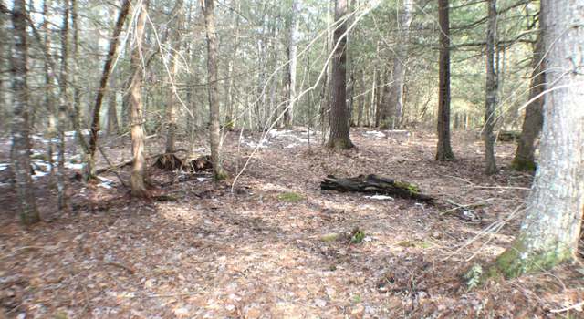 Photo of Beaver Creek Rd #5, Marlinton, WV 24954