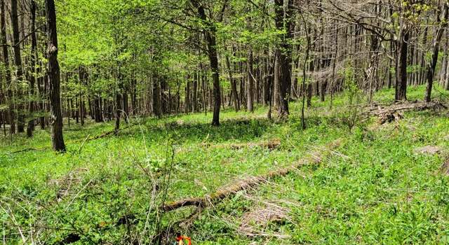 Photo of Lot 5 Old Dry Branch Rd, Valley Head, WV 26294