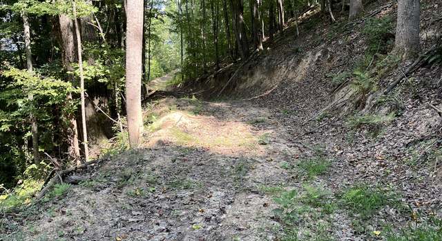 Photo of Lot 3 Ellison Ridge Rd #3, Jumping Branch, WV 25969